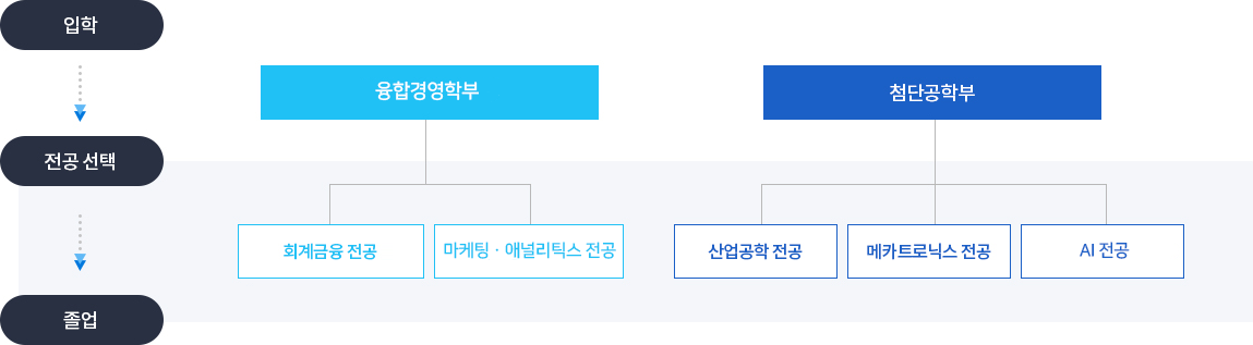 입학 - 전공선택 - 졸업. 융합경영학부 밑에 회계금융전공, 마케팅애널리틱스전공. 첨단공학부 밑에 산업공학전공, 메카트로닉스전공, AI전공